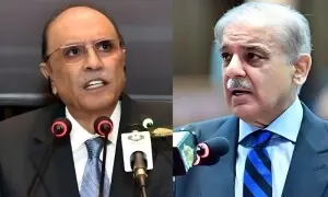 وائٹ ہاؤس فائرنگ: صدر زرداری اور وزیراعظم شہباز شریف کی شدید مذمت