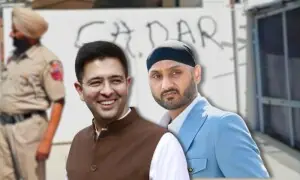 انتقام یا سیاست: ہربھجن سنگھ اور راگَھو چڈھا کے گھروں کے باہر 'غدار' کیوں لکھ دیا گیا؟