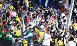 Govt allows fans into PSL 11 playoffs after security clearance