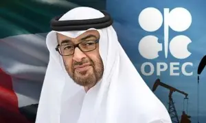 یو اے ای نے دیگر عالمی اداروں سے علیحدگی کی خبروں کی تردید کر دی