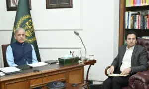 PM orders push for renewable energy, power sector reforms