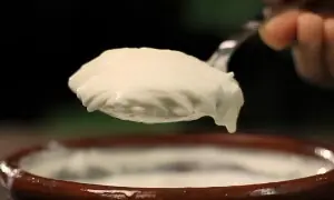 گرمی میں دہی جلدی کھٹا کیوں ہو جاتا ہے اور اسے محفوظ کیسے رکھیں؟