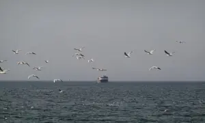 Iran warns US navy to stay clear of Strait of Hormuz