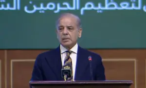 Pakistan earns global trust through peace efforts: PM Shehbaz Sharif