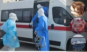 کروز شپ پر ہنٹا وائرس مزید پھیلنے کا خدشہ، مختلف ممالک نے نگرانی بڑھا دی