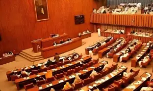 سینیٹ میں پیٹرول کی قیمتوں، مہنگائی اور قرضوں پر حکومت کو سخت تنقید کا سامنا