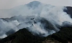 Global fire outbreaks hit record high as 'unprecedented' heat extremes loom, scientists say