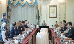 PM orders uninterrupted fertiliser supply, seeks alternative import plans