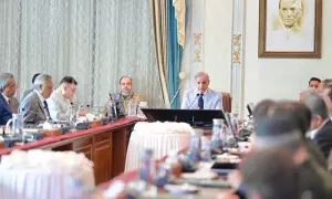 وفاقی کابینہ کا گندم کی خرید و فروخت کے حوالے سے درپیش مسائل کا نوٹس، کمیٹی تشکیل