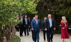 چینی گلاب کی تعریف پر صدر شی کا ٹرمپ کو بیج دینے کا وعدہ