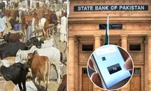 SBP launches 'Go Cashless' campaign for Eid ul Adha across 96 livestock markets