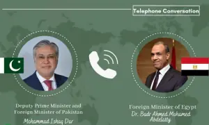 DPM, Egyptian FM exchange views on regional situation