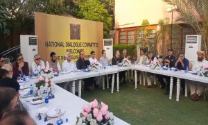 NAC demands structural reforms, slams ruling coalition over economic failures