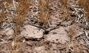 'Am I out?' Drought and rising costs from Iran war deepen pain for US farmers