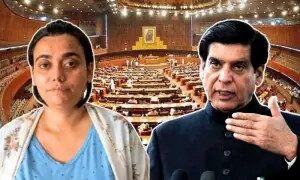 قومی اسمبلی قائمہ کمیٹی میں پنکی کیس زیر بحث: پرویز اشرف کی پیشی اور الزامات پر وضاحت