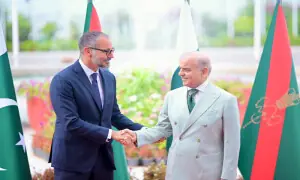 PM Shehbaz hosts Prince Rahim Aga Khan, encourages expanded AKDN partnership