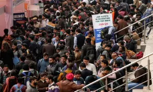 India's 'Cockroach' group goes viral, spotlights Gen Z worries