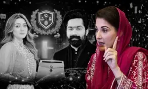 مومنہ اقبال کیس: خواتین کو ہراساں کرنے والوں کو معاف نہیں کیا جائے گا: مریم نواز