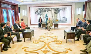 PM Shehbaz meets Chinese corporate leaders to boost investment cooperation