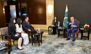 PM meets Chinese business delegations; vows to deepen cooperation under CPEC II