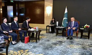 PM Shehbaz invites fresh Chinese investment under CPEC Phase II
