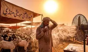 عیدالاضحیٰ کے دوران شدید ہیٹ ویو کا خدشہ، پی ڈی ایم اے کا الرٹ جاری