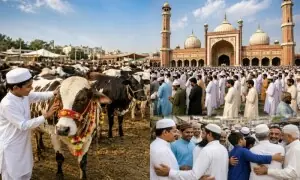 ملک بھر میں عید الاضحیٰ آج انتہائی عقیدت و احترام کے ساتھ منائی جائے گی ملک بھر میں عید الاضحیٰ آج انتہائی عقیدت و احترام کے ساتھ منائی جائے گی