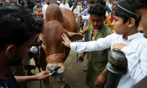 Eid celebrations continue nationwide as sacrificial rituals and gatherings persist