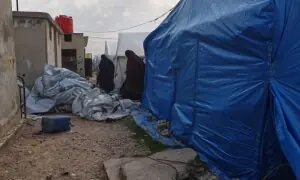 آسٹریلیا میں داعش سے تعلق کے الزام میں 4 بچوں کی ماں گرفتار، عدالت میں پیش