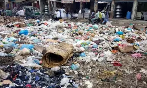 Punjab clears 283,000 tons of waste during Eid Al Azha clean-up drive