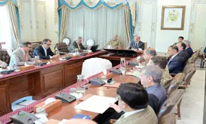 PM orders faster privatisation of three power DISCOs