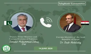 Dar discusses US-Iran developments with Turkish and Egyptian FMs