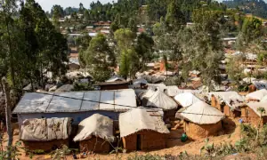 Congo says 782 Ebola cases confirmed, two new health zones affected Congo says 782 Ebola cases confirmed, two new health zones affected