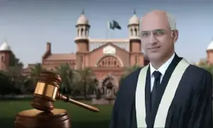 نابالغ بچے کے نان نفقہ اور وراثتی حقوق پر عدالت کا بڑا فیصلہ