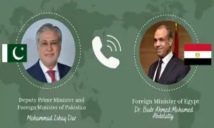 Dar, Egyptian FM discuss US-Iran deal ahead of MoU signing