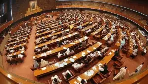 NA panel approves tax on social media earnings NA panel approves tax on social media earnings