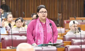 &lsquo;بین الاقوامی تعلقات کی گریجویٹ آئی ٹی وزیر بنے تو یہی ہوگا&lsquo;: متنازع ٹیلی کام بل پر شزا فاطمہ سے استعفے کا مطالبہ