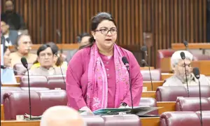 Telecom bill sparks property rights row, calls for IT minister's resignation