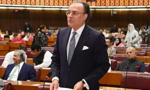 یکم جولائی سے تنخواہوں، گاڑیوں اور سوشل میڈیا پر کتنا ٹیکس ہوگا؟ فنانس بل قومی اسمبلی سے منظور