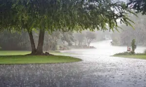 Punjab on alert as first monsoon spell to sweep Pakistan from July 1