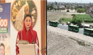 Punjab CM Maryam launches Green Bus Service in six districts