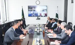 Pakistan, China's Shandong Xinxu discuss potential energy sector investment