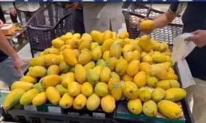 سعودی عرب کے دارالحکومت ریاض میں مینگو فیسٹیول کا انعقاد سعودی عرب کے دارالحکومت ریاض میں مینگو فیسٹیول کا انعقاد