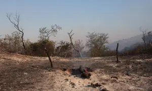 Thousands evacuated from homes in southwest France as wildfire burns
