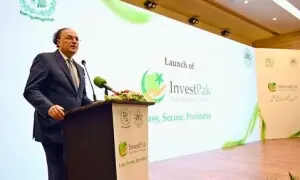 صرف 5 ہزار روپے سے سرمایہ کاری ممکن، حکومت نے &rsquo;انویسٹ پاک پورٹل&lsquo; لانچ کر دیا