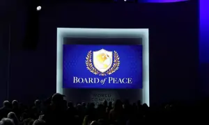Trump's Board of Peace planning pilot humanitarian zone in Gaza, official says