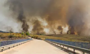 Spanish wildfire victims burned in cars as roads turned into death traps Spanish wildfire victims burned in cars as roads turned into death traps