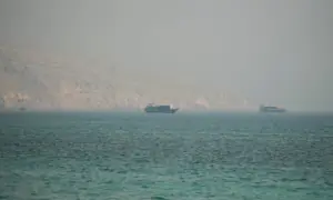 Countries must reject Iran efforts to control Hormuz, UN agency document says