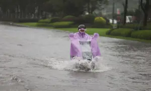 Typhoon Bavi batters eastern China, threatens days of heavy rain