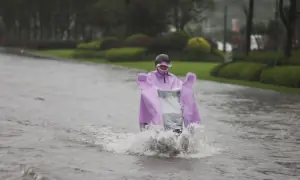 Heavy floods submerge roads, vehicles in northern China